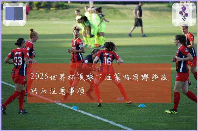 2026世界杯滚球下注策略有哪些技巧和注意事项
