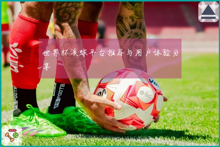 世界杯滚球平台推荐与用户体验分享