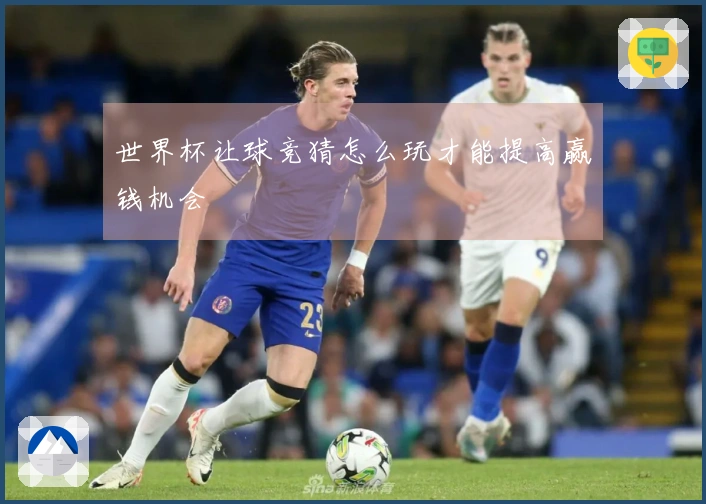 世界杯让球竞猜怎么玩才能提高赢钱机会