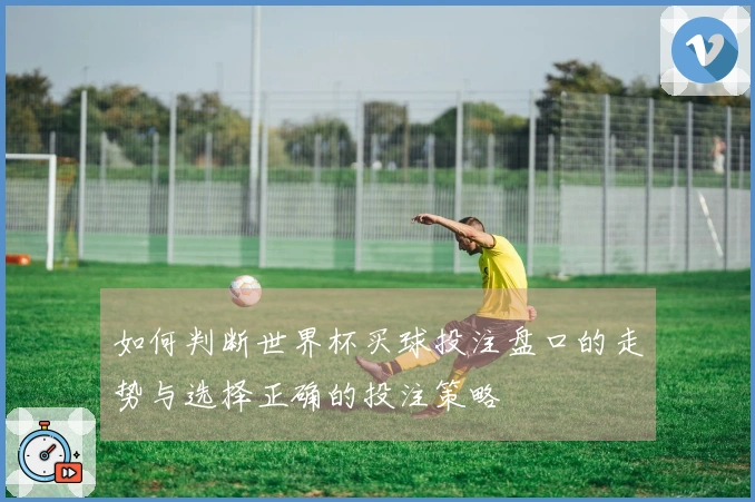 如何判断世界杯买球投注盘口的走势与选择正确的投注策略